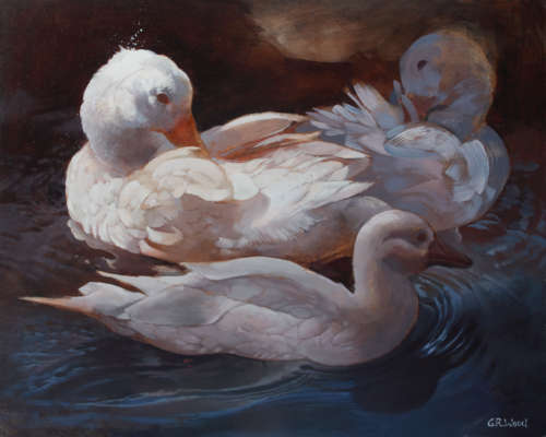 `CHIAROSCURO FEATHERS`