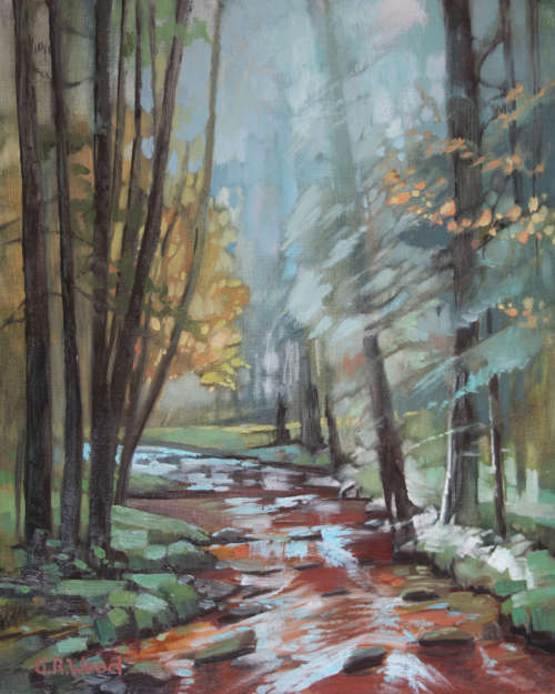 `MAGIC FOREST STREAM 2 `