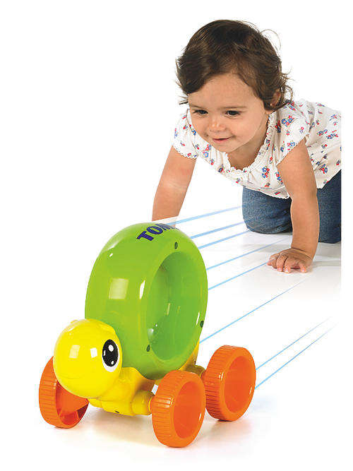 Push and Chase Rattle Turtle