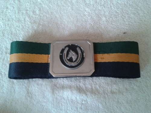 sadf stable belt