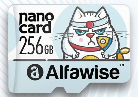 *New* 100% Real Capacity 256 GB Micro SD Card | Class 10 | USH-3 | 4KHD - Great Budget Card