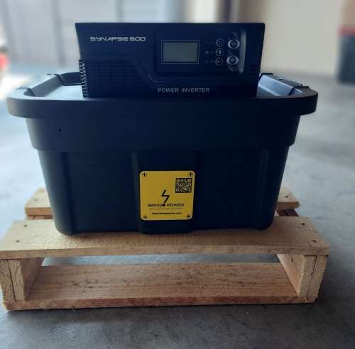 Synapse UPS Inverter - 600W 12V DC, 230V AC