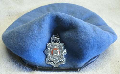 Onderhouds Eenheid Beret with Badge!!