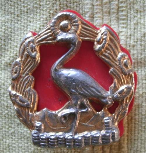 2 SAI Beret Badge!! Rare!!!