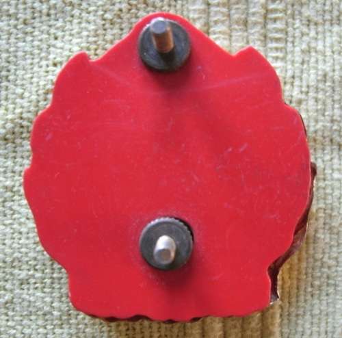 2 SAI Beret Badge!! Rare!!!