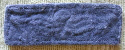 Parabat Wings 8 Jumps and more!!!! Cloth Wings!!