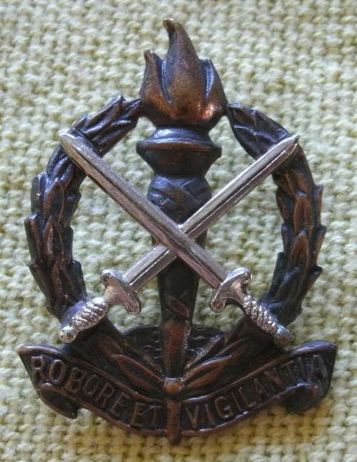 Regiment Schoonspruit Collar Badge!! Rare!!!