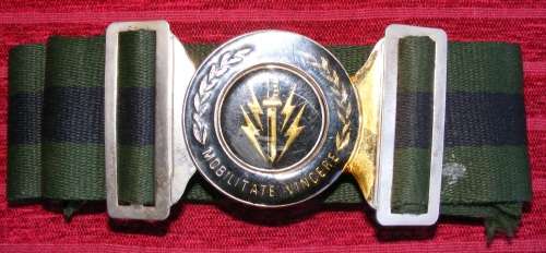 61 Meg Stable Belt!! Rare!!!