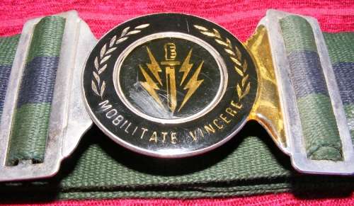 61 Meg Stable Belt!! Rare!!!