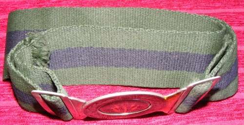 61 Meg Stable Belt!! Rare!!!