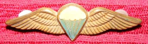 Parabat Wings 8 Jumps and more!!!!