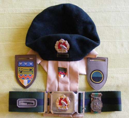 2 SAI Collection, Belt, Beret and flashes with 10 year service medal!!
