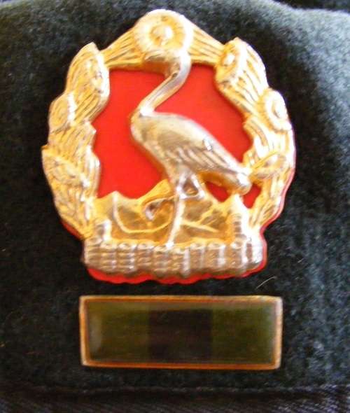 2 SAI Collection, Belt, Beret and flashes with 10 year service medal!!