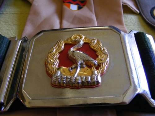 2 SAI Collection, Belt, Beret and flashes with 10 year service medal!!