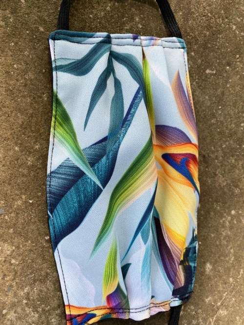 Fashion face masks - 6 mask combo