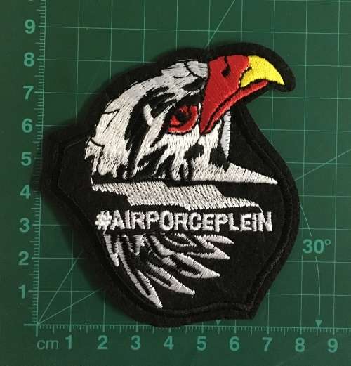 BDG834 Airforce eagle patch badge