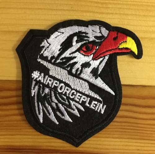 BDG834 Airforce eagle patch badge