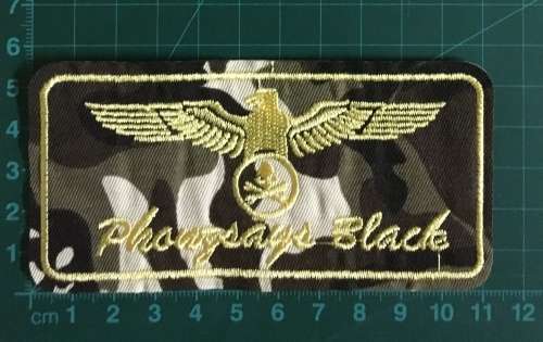 BDG942 Camoe airforce badge patch