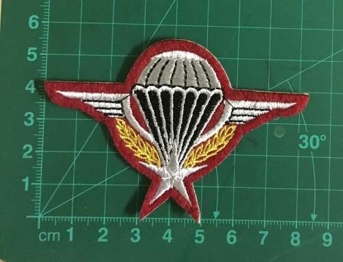 Parachute army patch