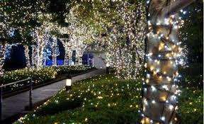 50 LED BULB STRING FAIRY LIGHTS MULTICOLOURED - SOLAR POWERED