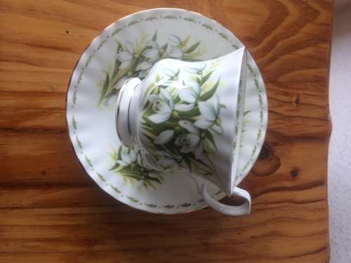 ROYAL ALBERT FLOWER OF THE MONTH DUO FOR THE MONTH OF JANUARY(SNOWDROPS)