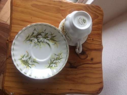 ROYAL ALBERT FLOWER OF THE MONTH DUO FOR THE MONTH OF JANUARY(SNOWDROPS)