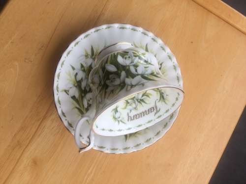 ROYAL ALBERT FLOWER OF THE MONTH JANUARY TEA CUP AND SAUCER  IN EXCELLENT CONDITION