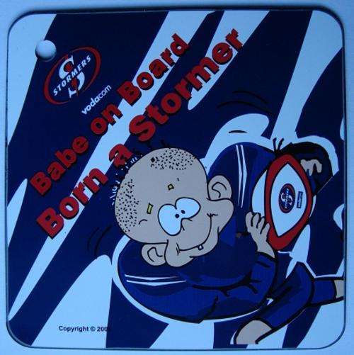 Babe on Board Born a Stormer Car Sign