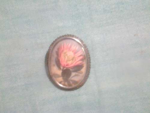 Thomas L Mott brouch