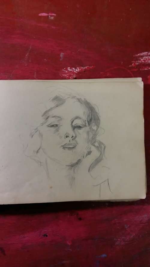 OLD SKETCHBOOK WITH INTRICATE DRAWINGS, DIAGRAMS AND CARTOONS