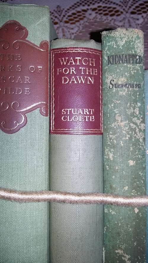 SET OF 5 VINTAGE AND ANTIQUE BOOKS FOR READING OR DECOR
