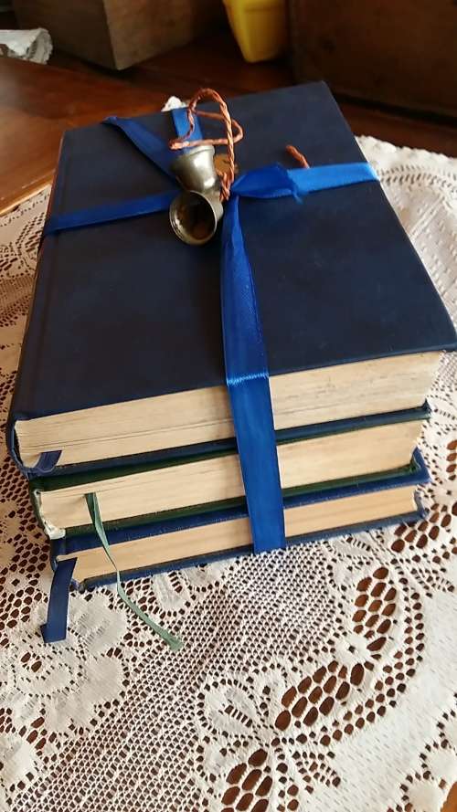 SET OF 3 VINTAGE BOOKS FOR READING OR DECOR