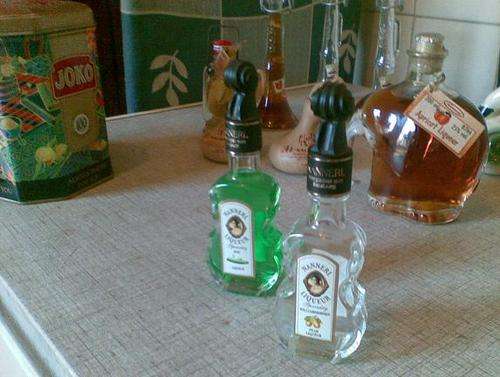 Nannerl Liquer Kiwi Forest fruit empty miniature Violin 13cm high glass bottle  40ml