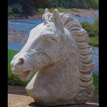 Horses head
