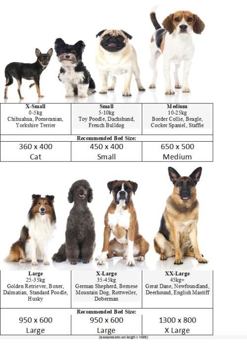 XLarge Hammock Style Raised Dog Beds