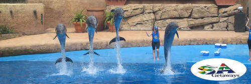 EXPERIENCE A 10 NIGHTS HOLIDAY VOUCHER AT A BARGAIN