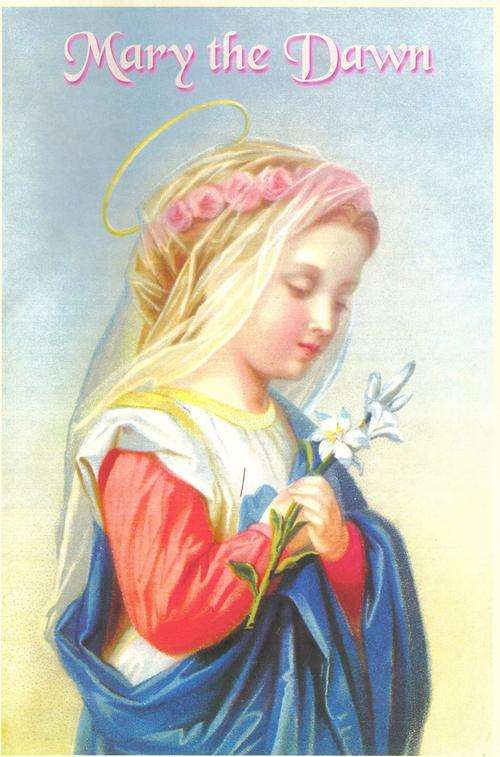 Mary the Dawn Catholic book Novena and Stations of the Infant Jesus