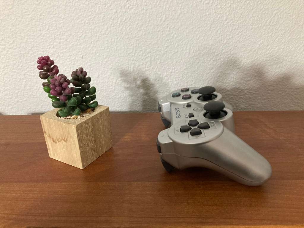 Sony Wireless DualShock 3 Controller - CECHZC2E - PlayStation 3 (PS3) - Silver