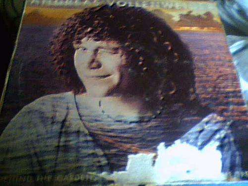 andreas vollenweider- behind the gardens