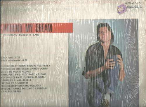 SILVER POZZOLI- AROUND MY DREAM ( 12 INCH VINYL)