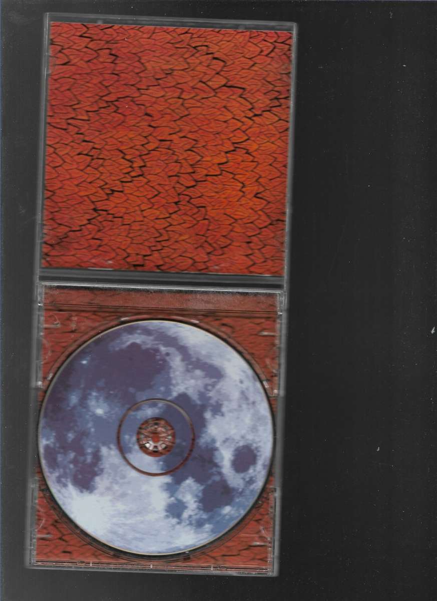 WOLFTRON- FLESH AND FEARS(CD)