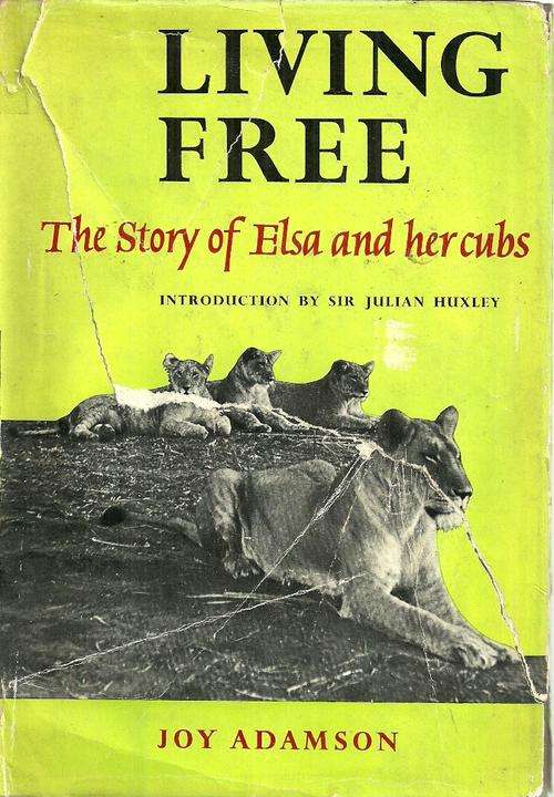 Living Free - The Story of Elsa and her Cubs by Joy Adamson ( Hard Cover )