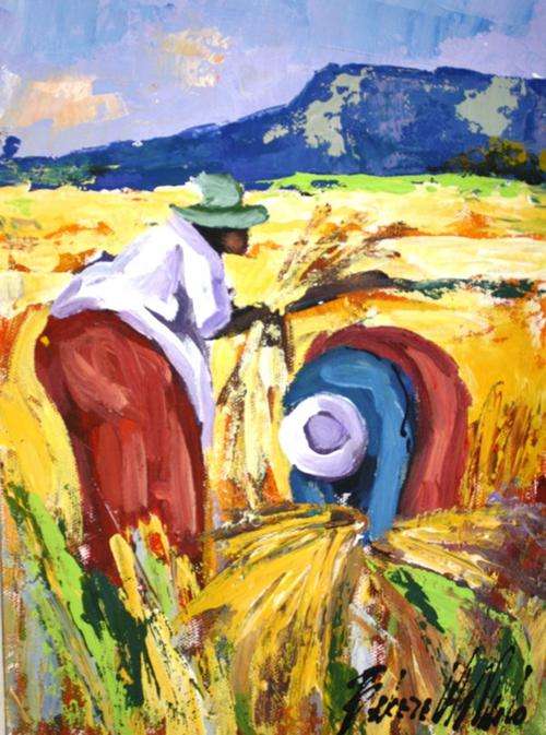 Harvesting 1 - Bekezela