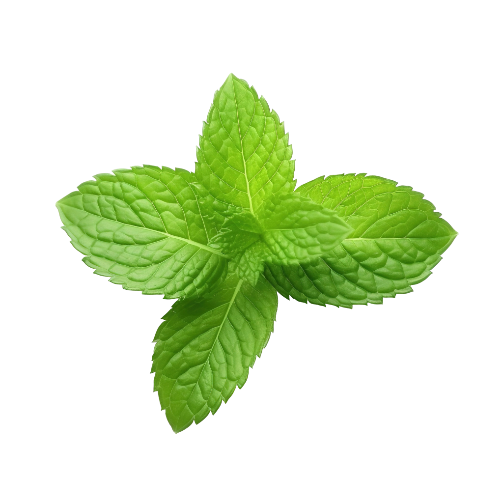 Complete Office Desktop PC