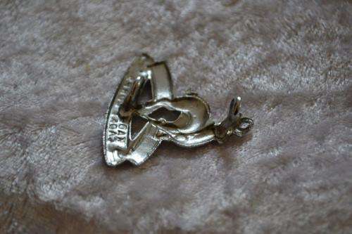 Cadet Corps Collar badge.