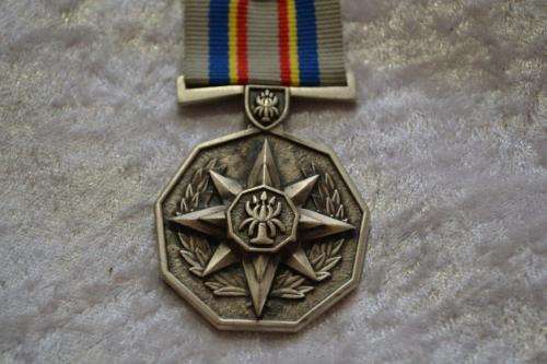 SAPS 20 Year Loyal Service Medal. Full size medal. Silver.