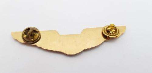 Unknown Airways Pilot Wings.