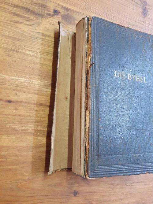 1953 Familie Bybel Labuschagne and Spies Family.