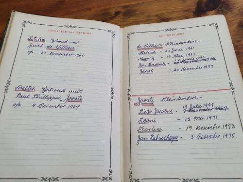 1953 Familie Bybel Labuschagne and Spies Family.