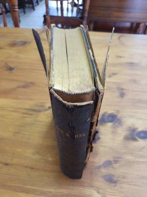 1953 Familie Bybel Labuschagne and Spies Family.